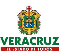 logo veracruz